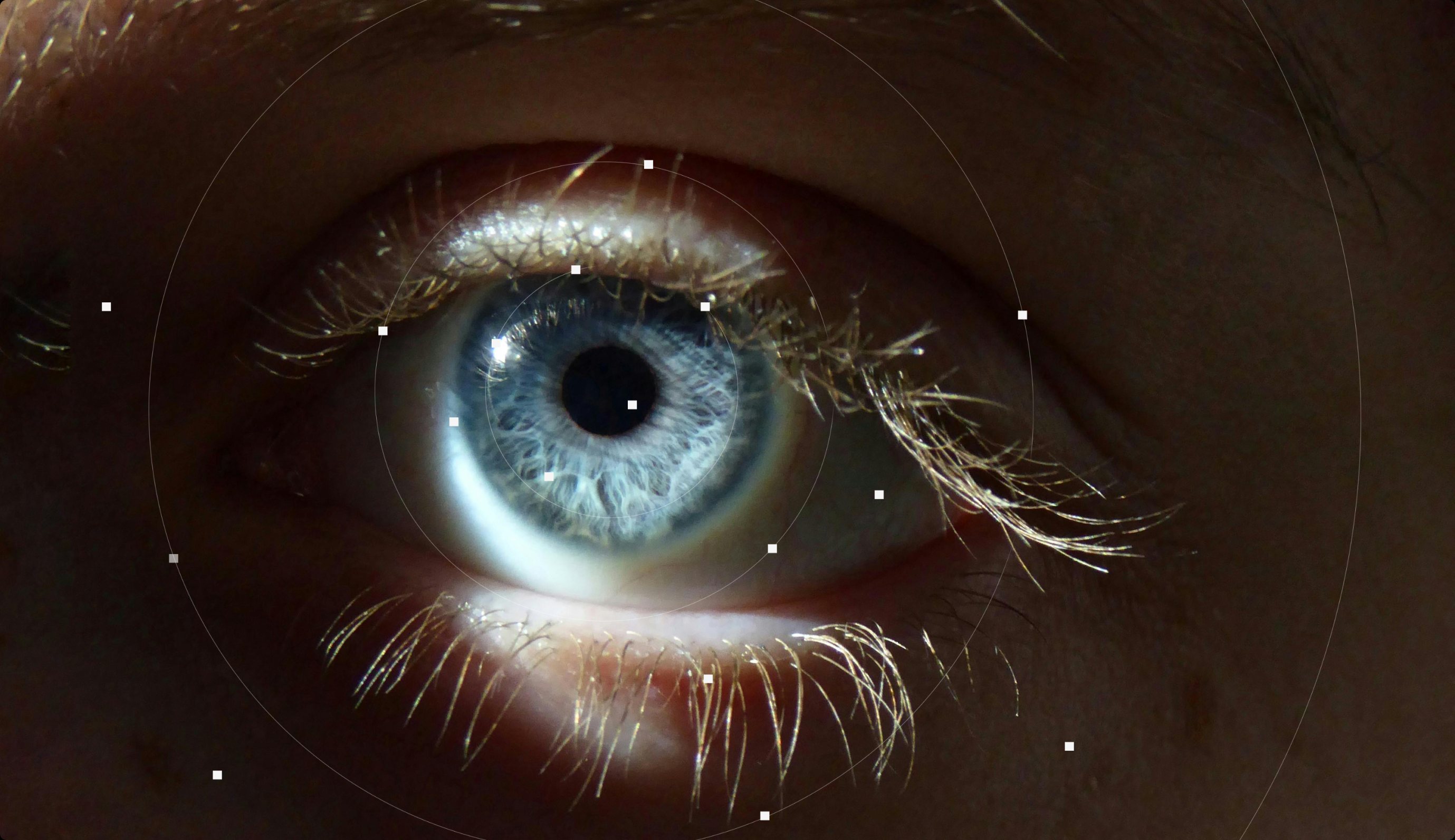 Human eye with biometric tracking visualization